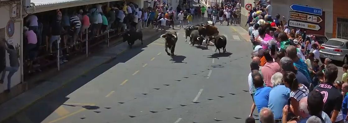 Así ha sido momento en el que los 'Patas blancas' de Victorino Martín han arrollado a un corredor