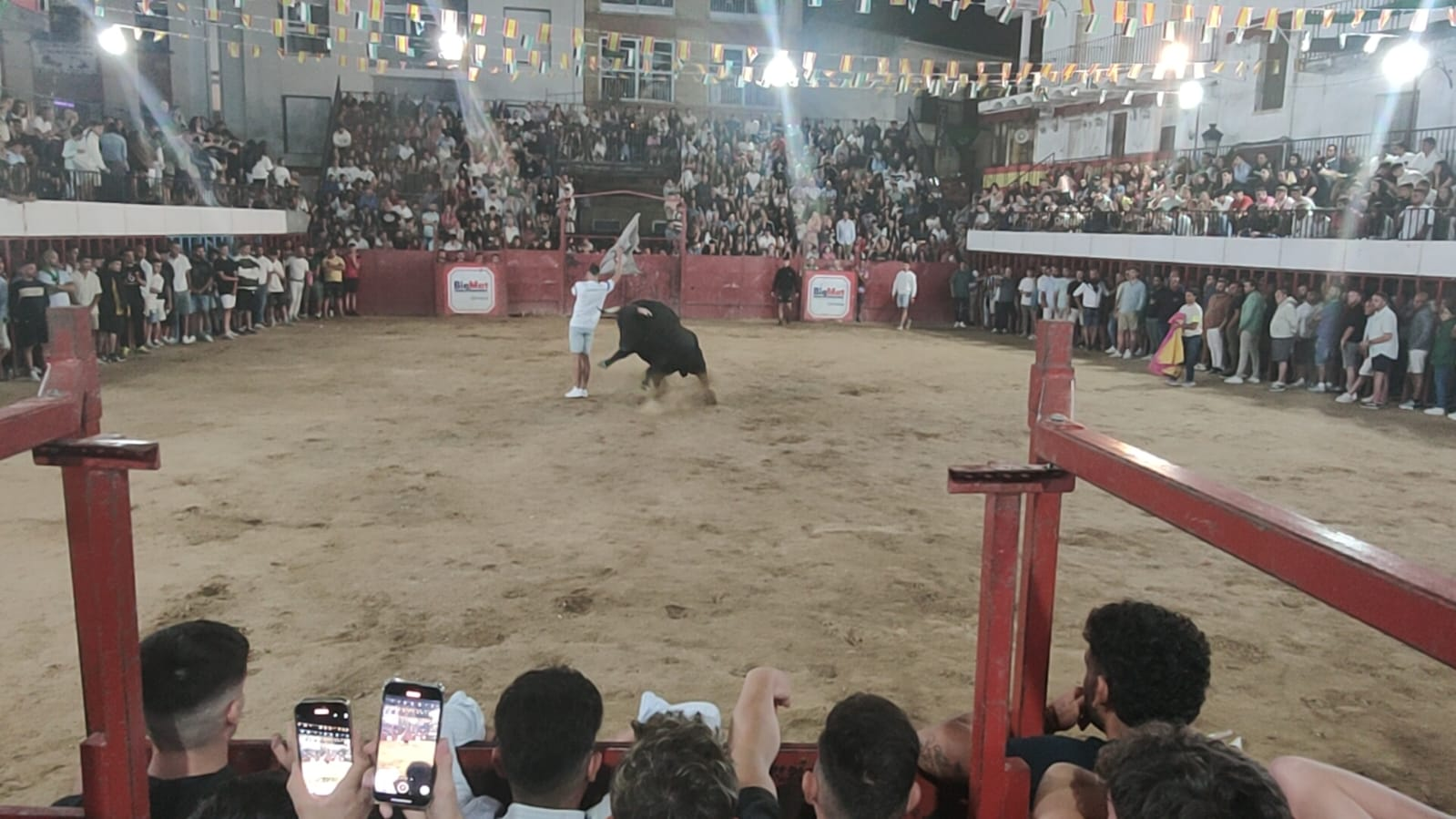 Fotografía del toro del aguardiente ¨Elegante¨ esta pasada madrugada de domingo durante la lidia en la plaza de toros de Moraleja.