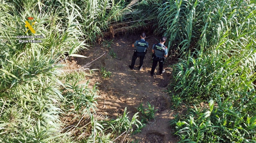 Ubicación de la plantación ilegal de marihuana.