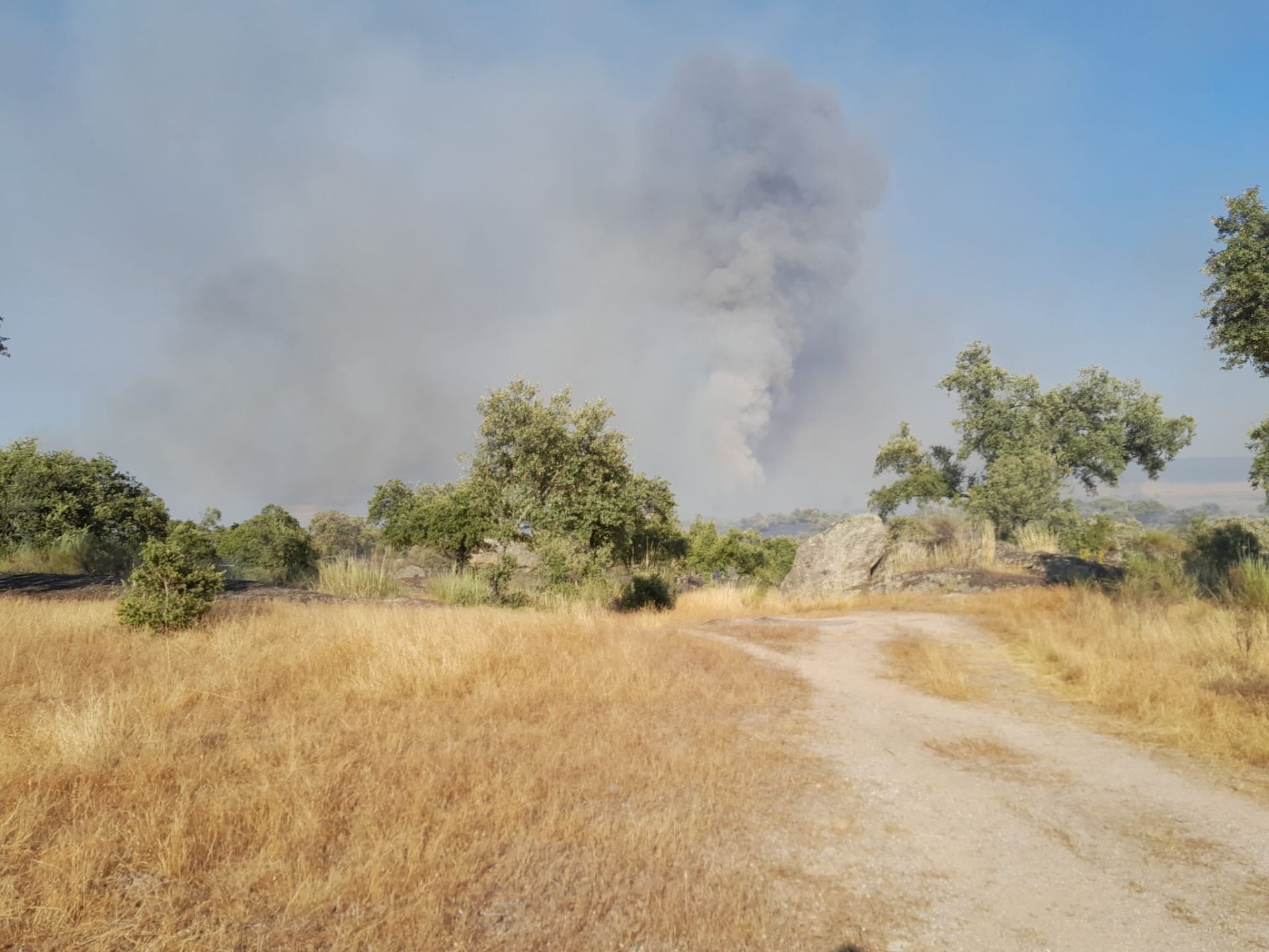 Así ha sido el incendio declarado este miércoles en Trujillo