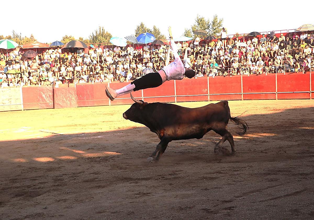 Ángel González 'Pechu' gana el concurso de recortadores de las fiestas de San Buenaventura de Moraleja