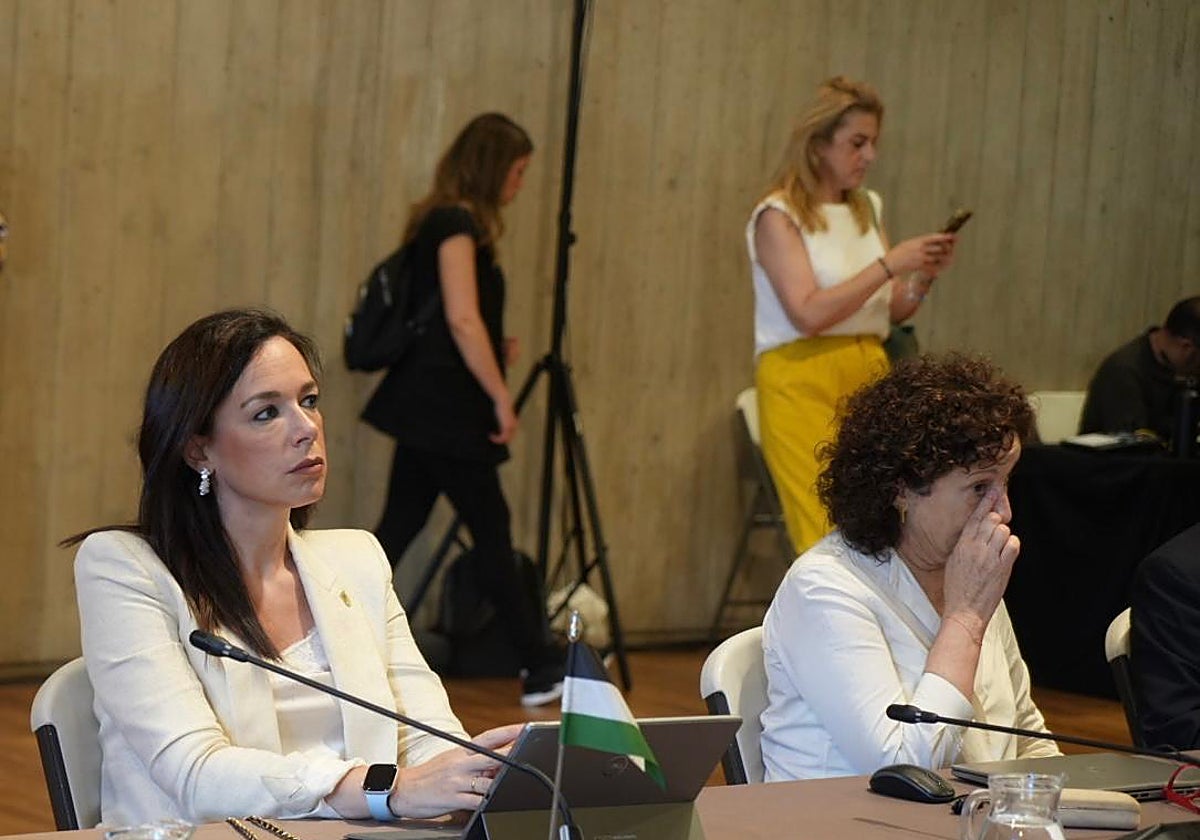 La consejera Sara García Espada en una reunión de la Sectorial de Infancia.