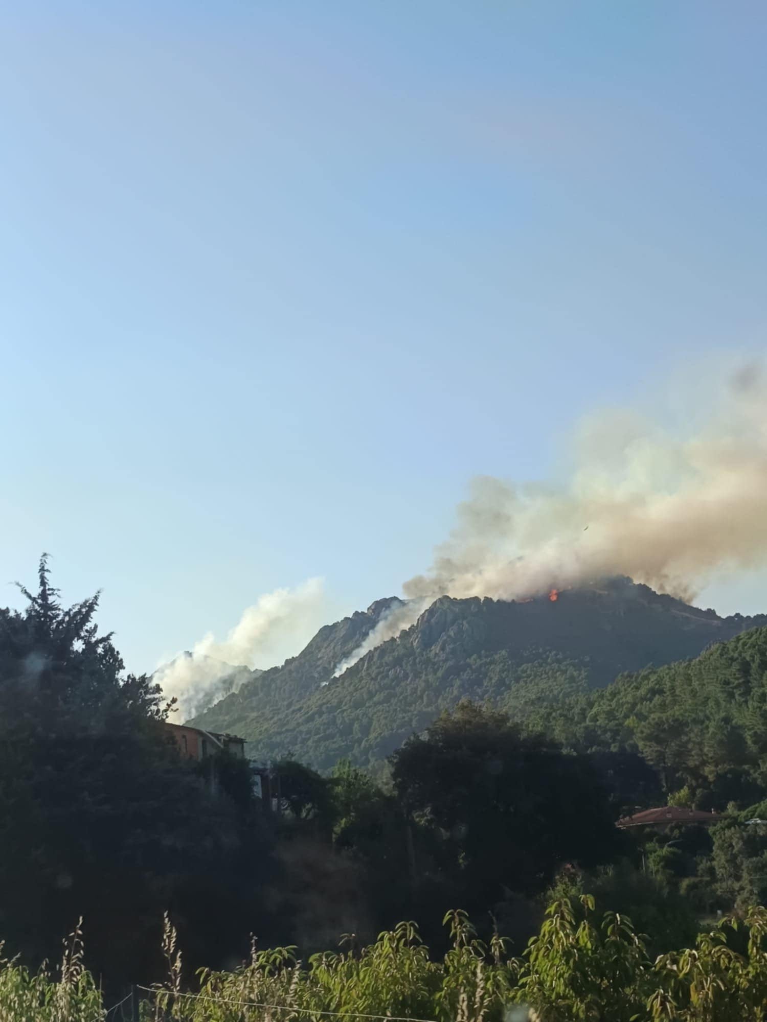 Estado del incendio en la tarde del viernes