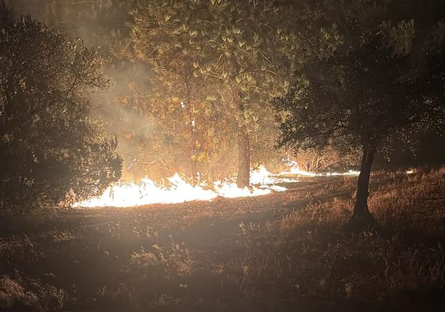 Un gran despliegue de medios de extinción han trabajado durante toda la noche para controlar el incendio.