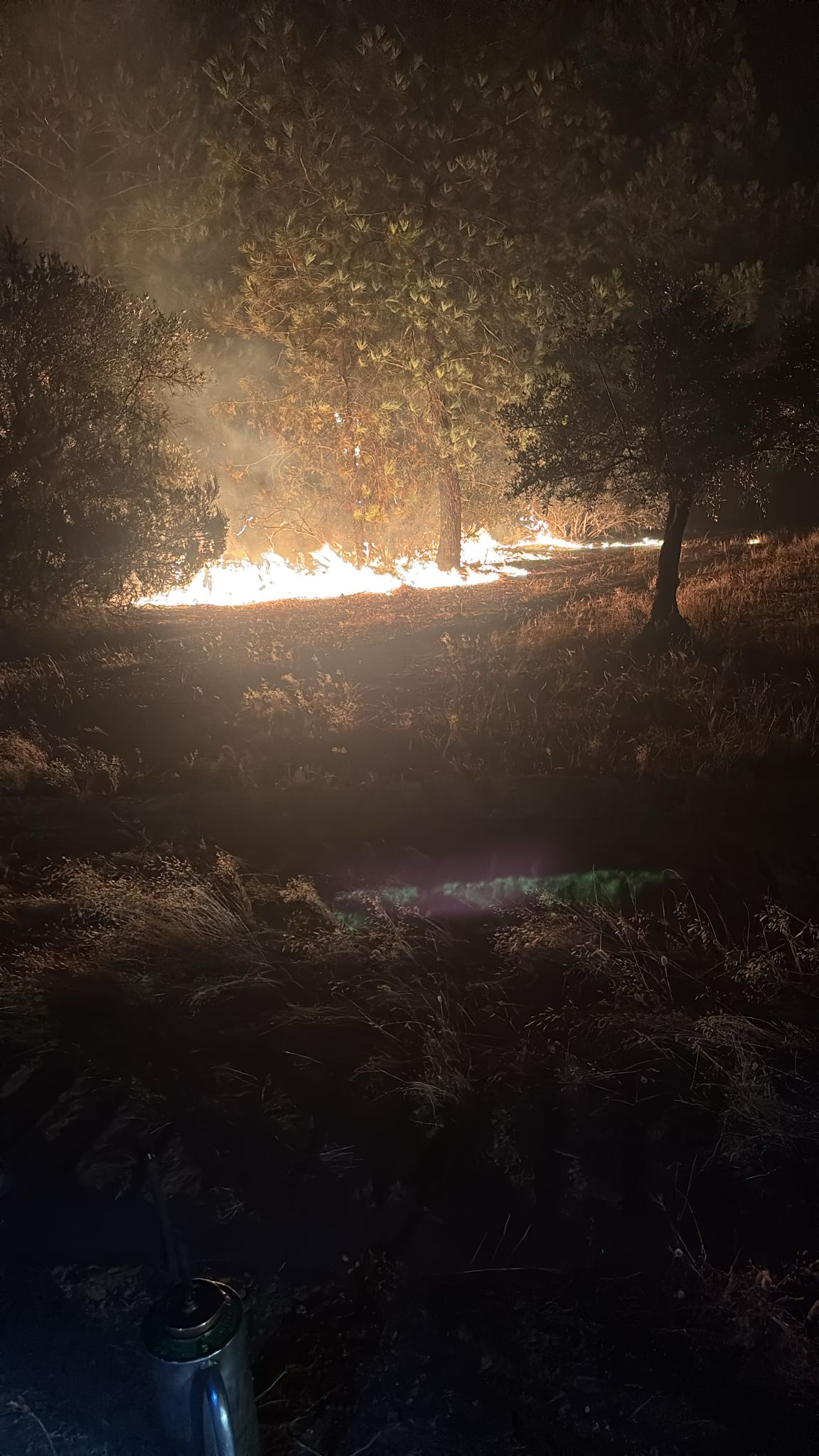 Llamas registradas durante la madrugada de ste domingo