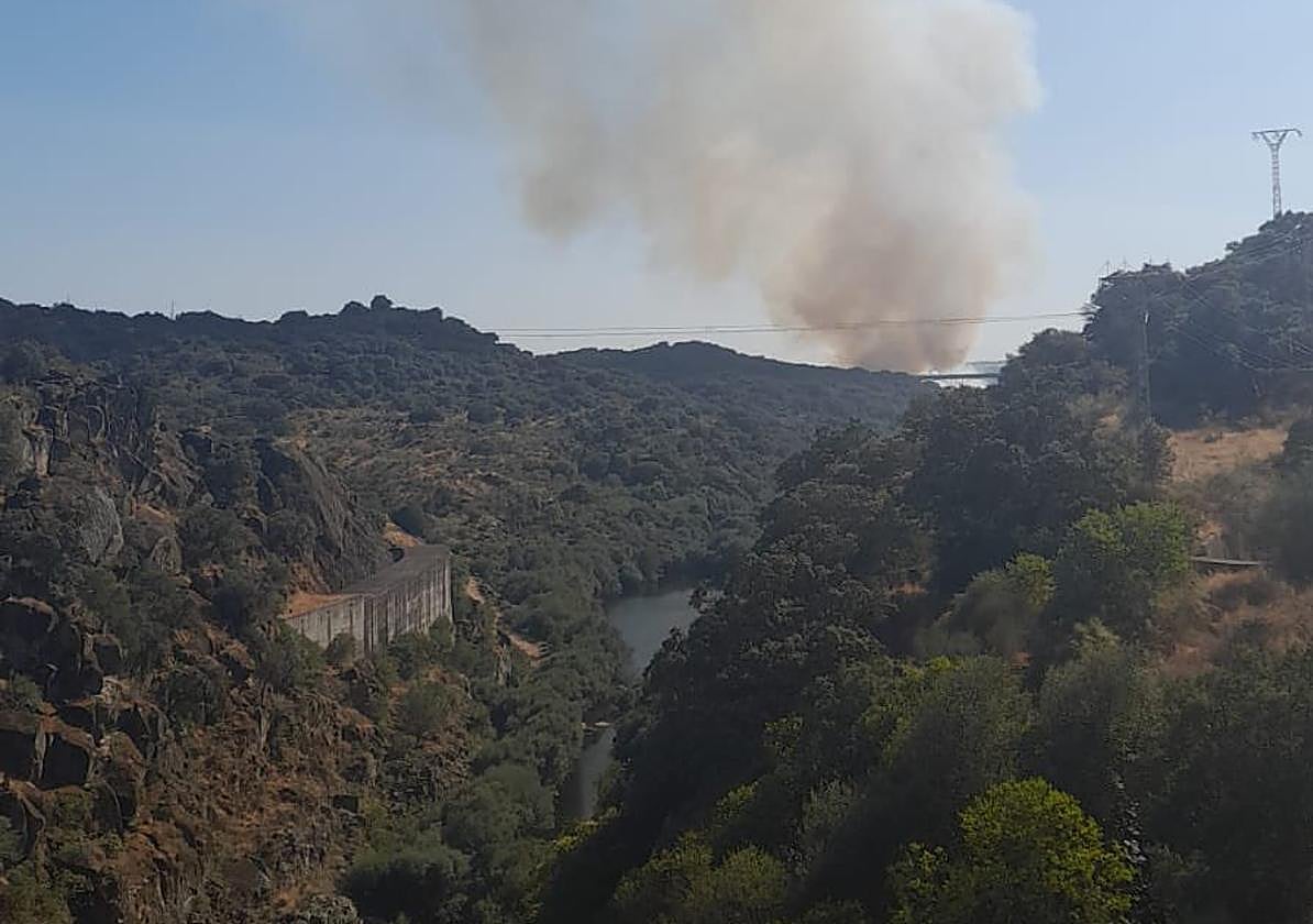 Columna de humo que se ve desde la presa del incendio forestal de Valdeobispo