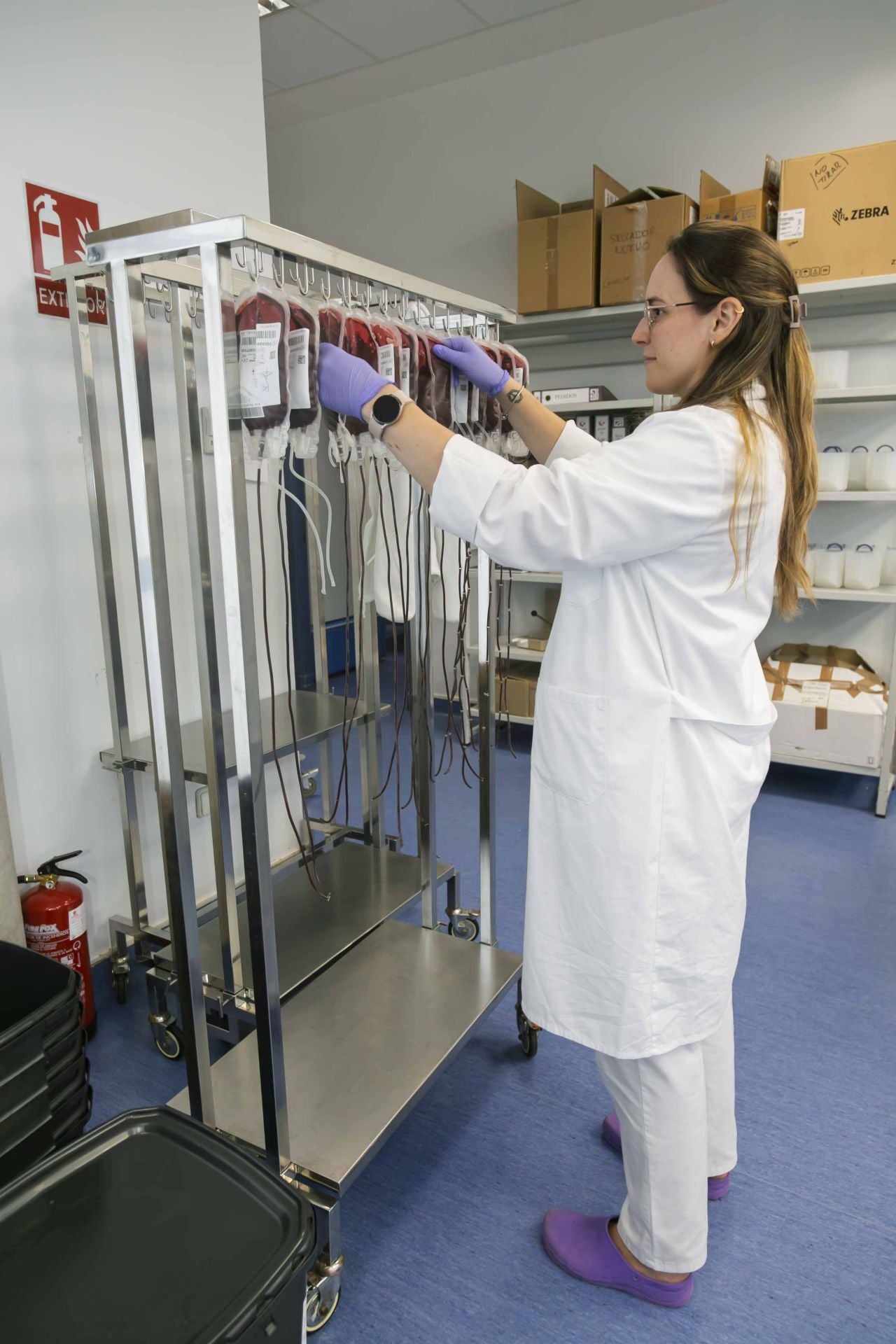 Fotos | Extremadura pide donaciones de sangre