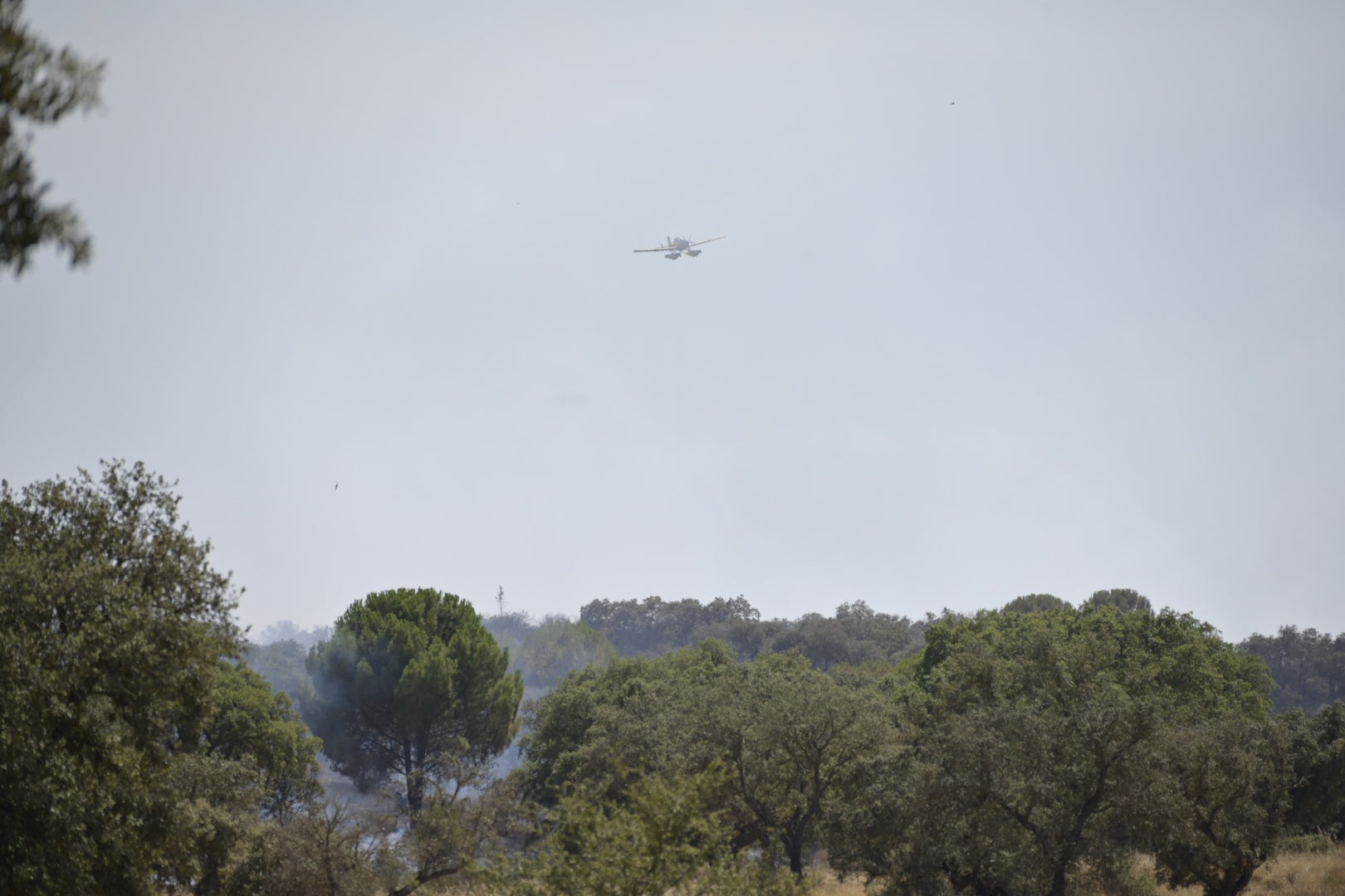 Fotos | Este es el fuego que quema Tres Arroyos por segundo día consecutivo