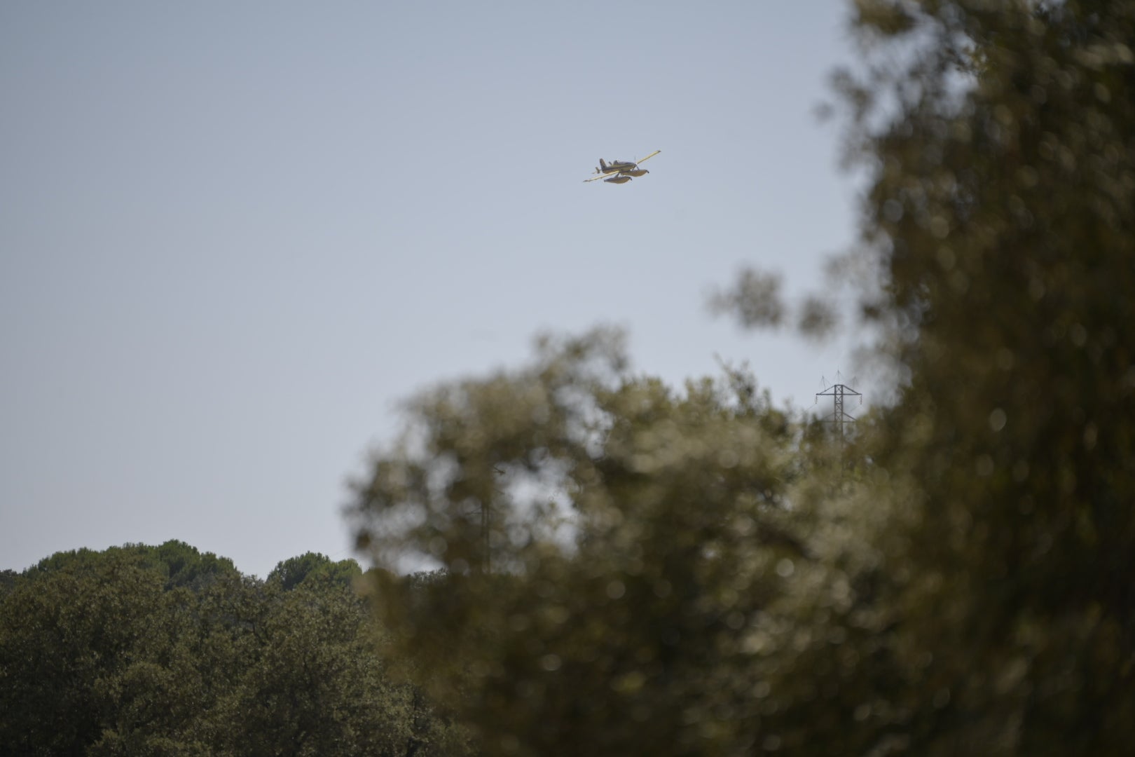 Fotos | Este es el fuego que quema Tres Arroyos por segundo día consecutivo