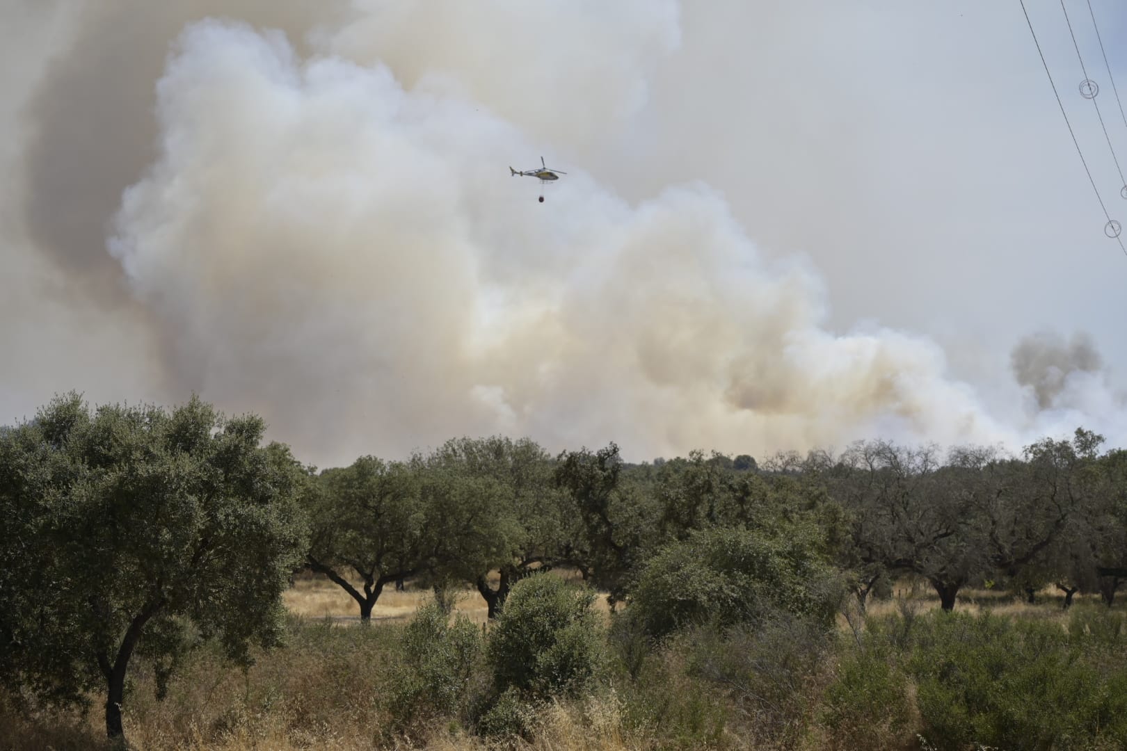 Fotos | Este es el fuego que quema Tres Arroyos por segundo día consecutivo