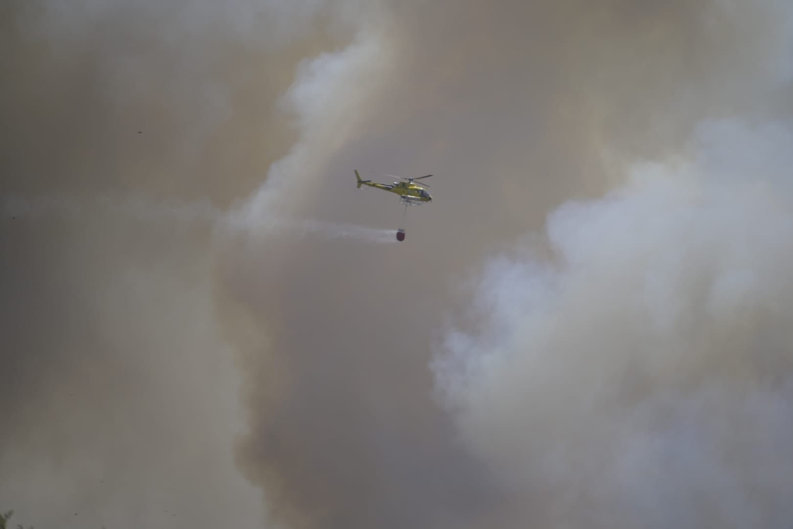 Fotos | Este es el fuego que quema Tres Arroyos por segundo día consecutivo