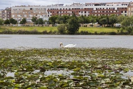 Río Guadiana a su paso por Badajoz.