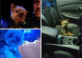 Imágenes de Lucas en el momento del rescate