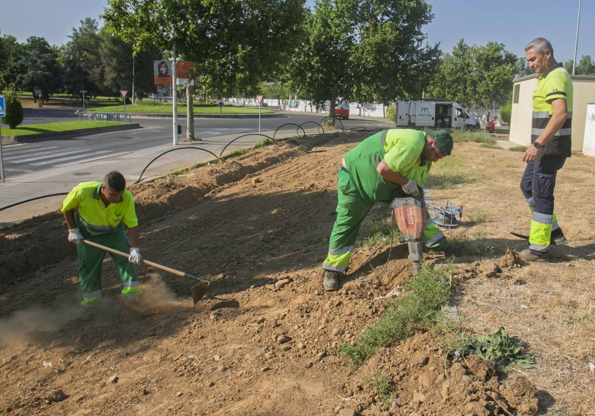 Trabajadores municipales en el talud junto al área de autocaravanas.