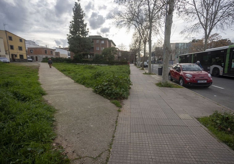 Sale a concurso el proyecto para el nuevo PAC de la avenida de la Hispanidad de Cáceres