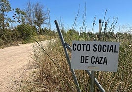 La Junta destina 300.000 euros a ayudas para la contratación de personal de vigilancia y gestión en los cotos de caza