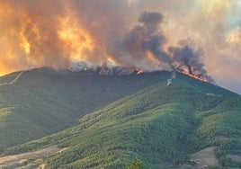Incendio forestal en Caminomorisco.