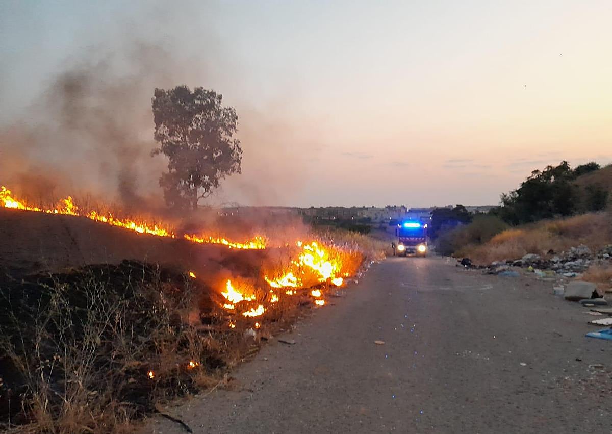 Imagen secundaria 1 - Incendio forestal en El Junquillo.