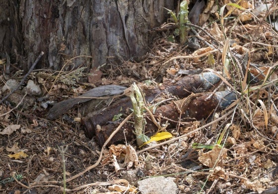 Los explosivos encontrados la semana pasada en un parque de Badajoz.