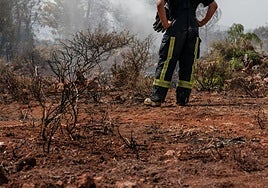 Imagen de un bombero forestal en un incendio