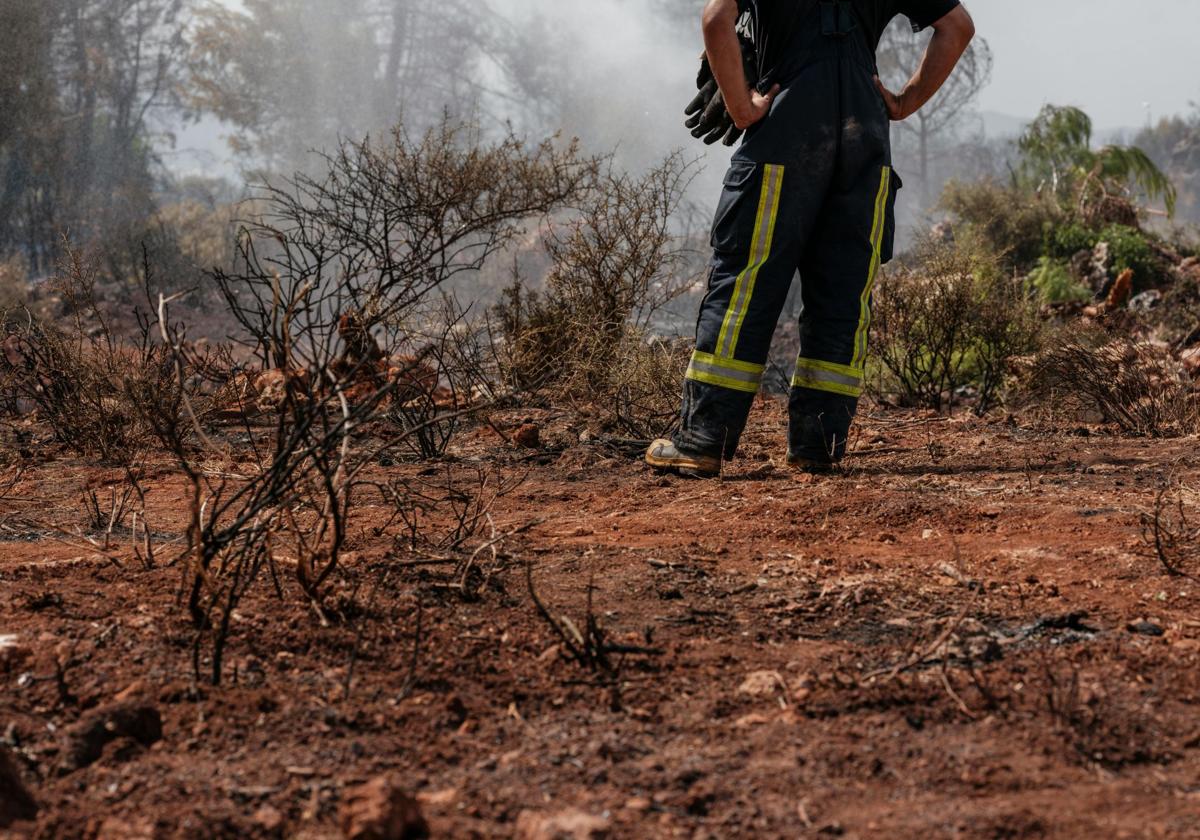 Imagen de un bombero forestal en un incendio