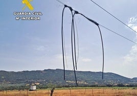 Cae un grupo acusado del robo de ganado y 8.400 metros de cable de líneas telefónicas
