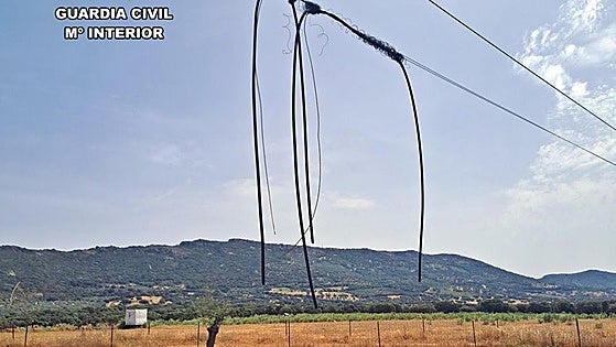 Cae un grupo acusado del robo de ganado y 8.400 metros de cable de líneas telefónicas
