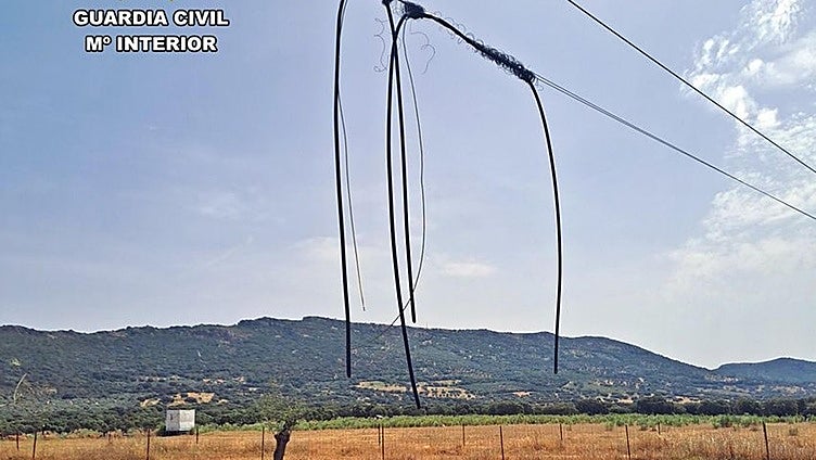 Cae un grupo acusado del robo de ganado y 8.400 metros de cable de líneas telefónicas