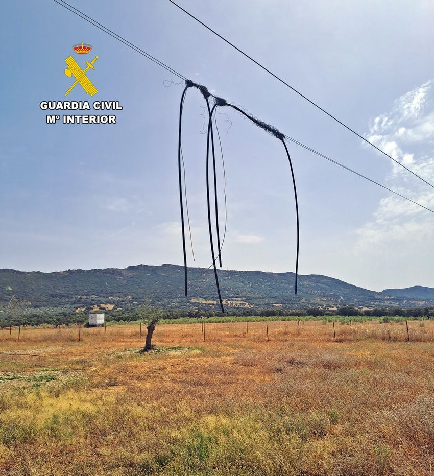 Cae un grupo acusado del robo de ganado y 8.400 metros de cable de líneas telefónicas