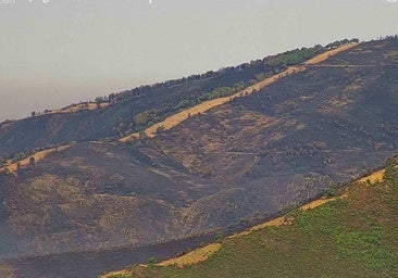 El punto crítico del incendio en Las Hurdes: los efectivos trabajan a dos kilómetros de Avellanar