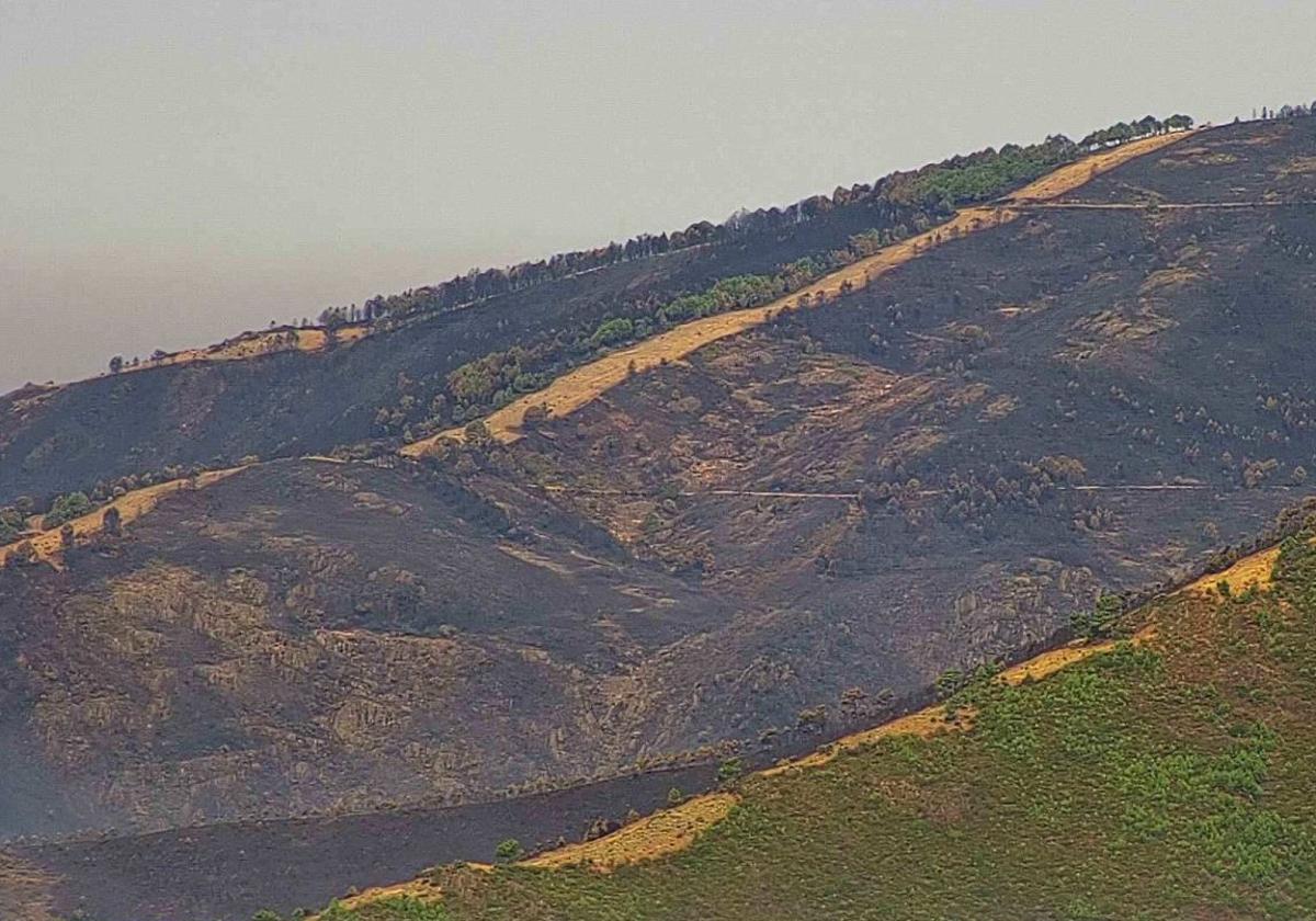 Imagen aérea de la superficie quemada en Las Hurdes.