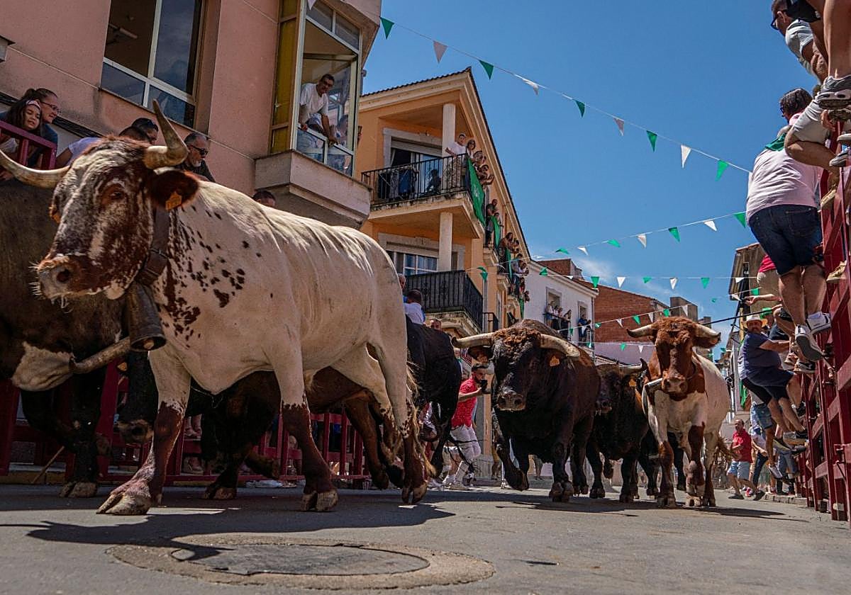 Fotografía ganadora del concurso.
