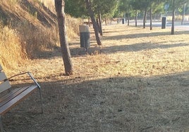 Excrementos de perros junto a bancos en el parque infantil de Plantonal de Vera.