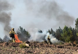 Bomberos trabajan en el fuego de Caminomorisco.