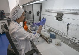 La industria es el sector de actividad que paga los sueldos más altos.