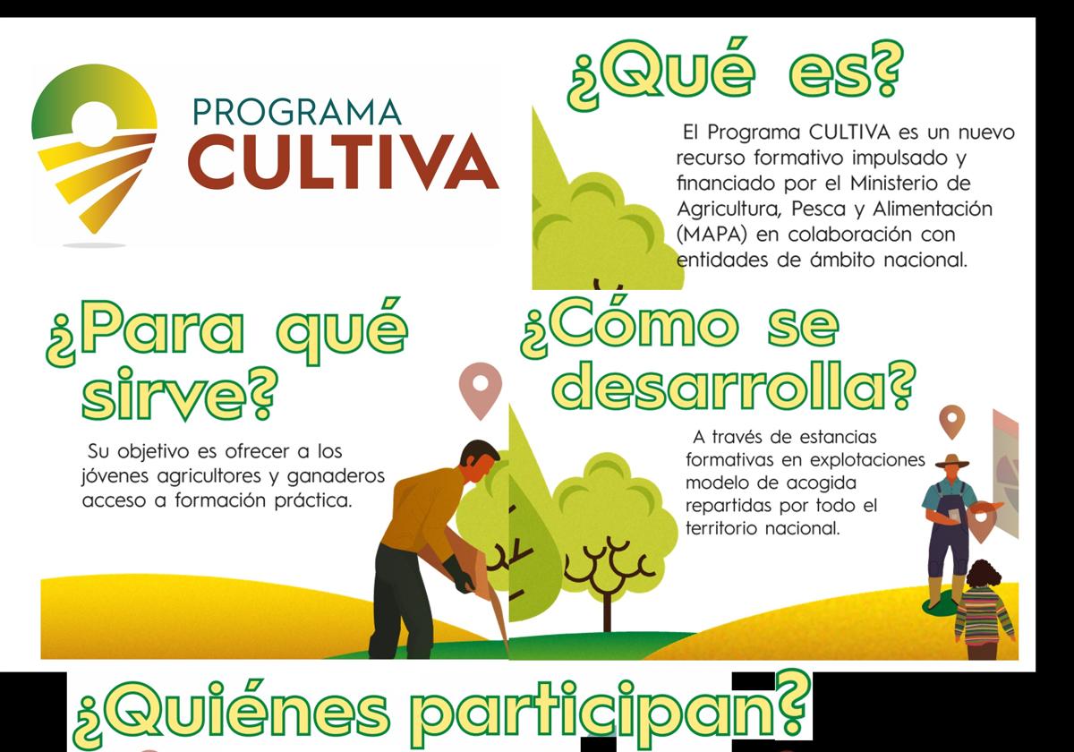 Agroerasmus