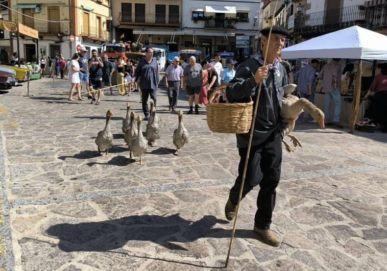 Más de 60 puestos recrean hoy en Jarandilla de la Vera los antiguos oficios de la zona