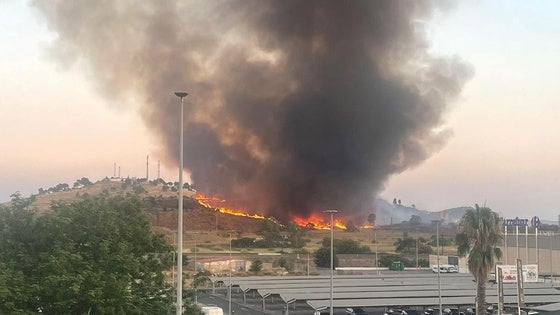 Los bomberos de Cáceres trabajan para sofocar un incendio en el Cerro de los Pinos