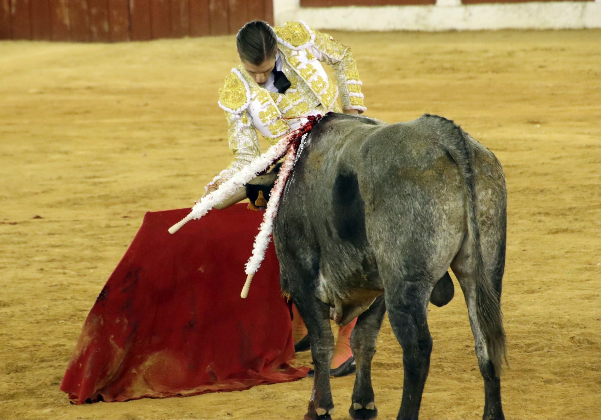 El festejo mixto en Plasencia, en imágenes