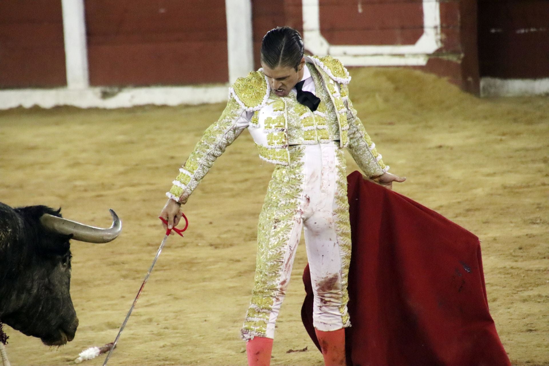 El festejo mixto en Plasencia, en imágenes