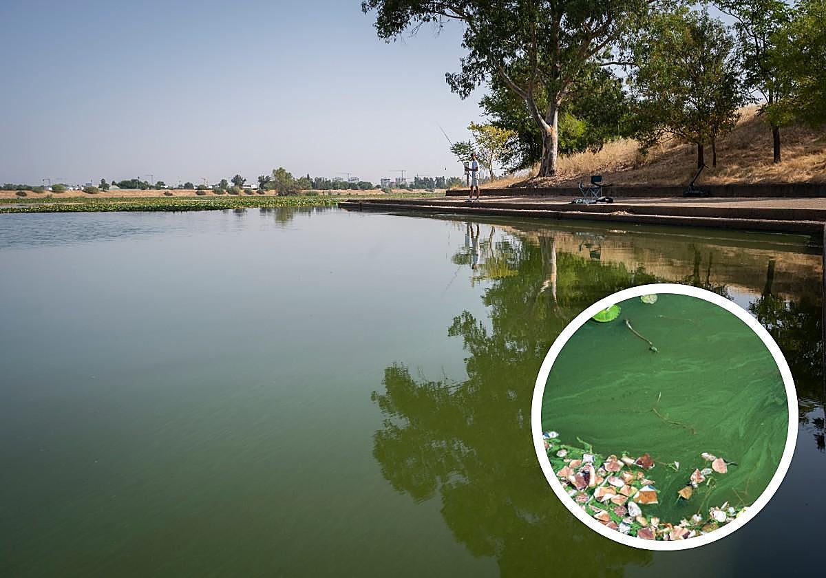 Vista general del Guadiana desde el Club de Piragüismo y detalle del color de las aguas en ese punto.