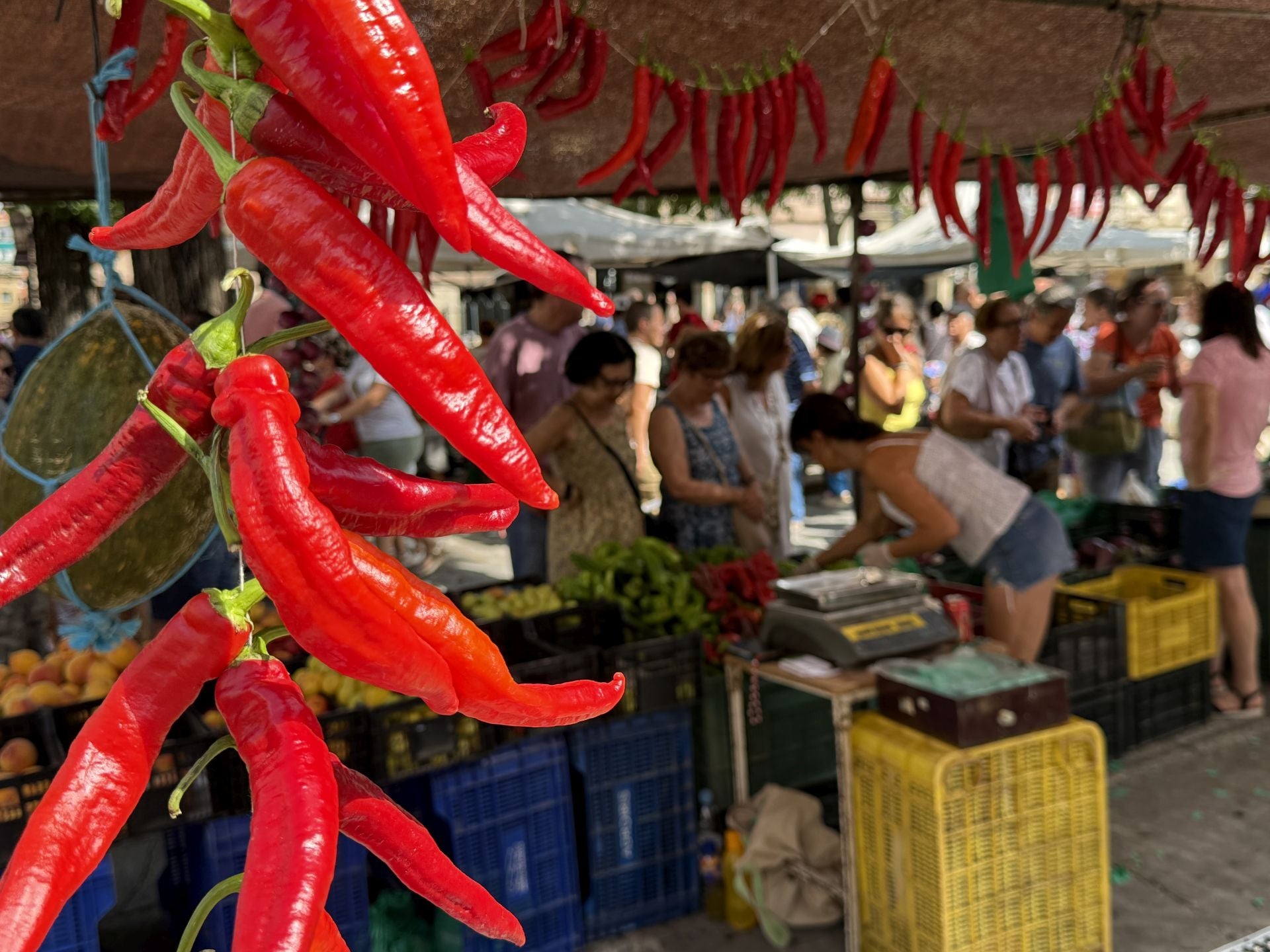 La celebración del Martes Mayor en Plasencia, en imágenes