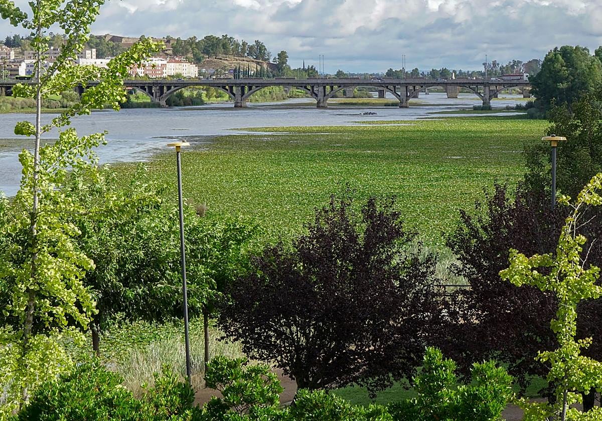 Río Guadiana a su paso por Badajoz