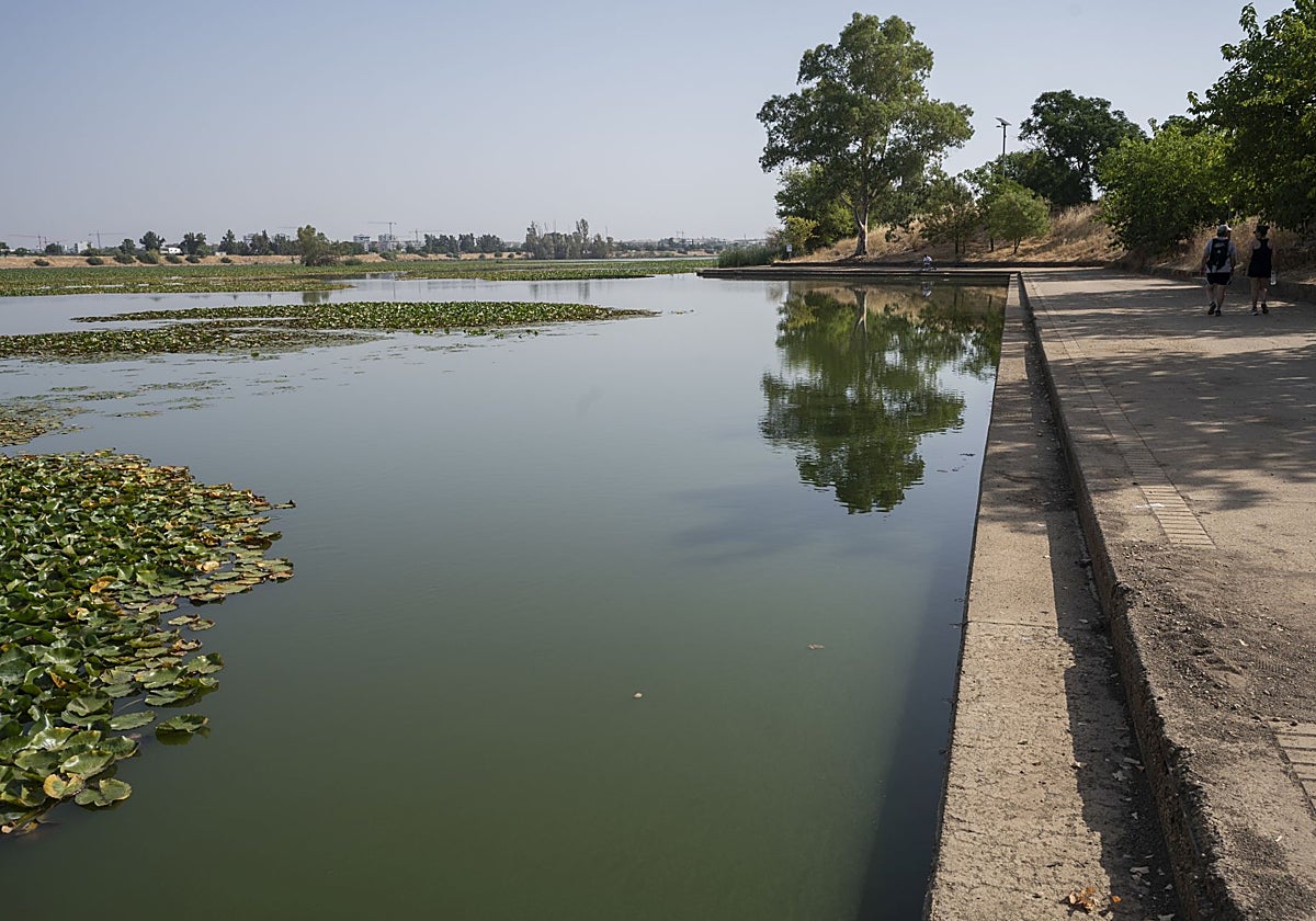 Aspecto del agua a la altura del Club de Piragüismo en Badajoz