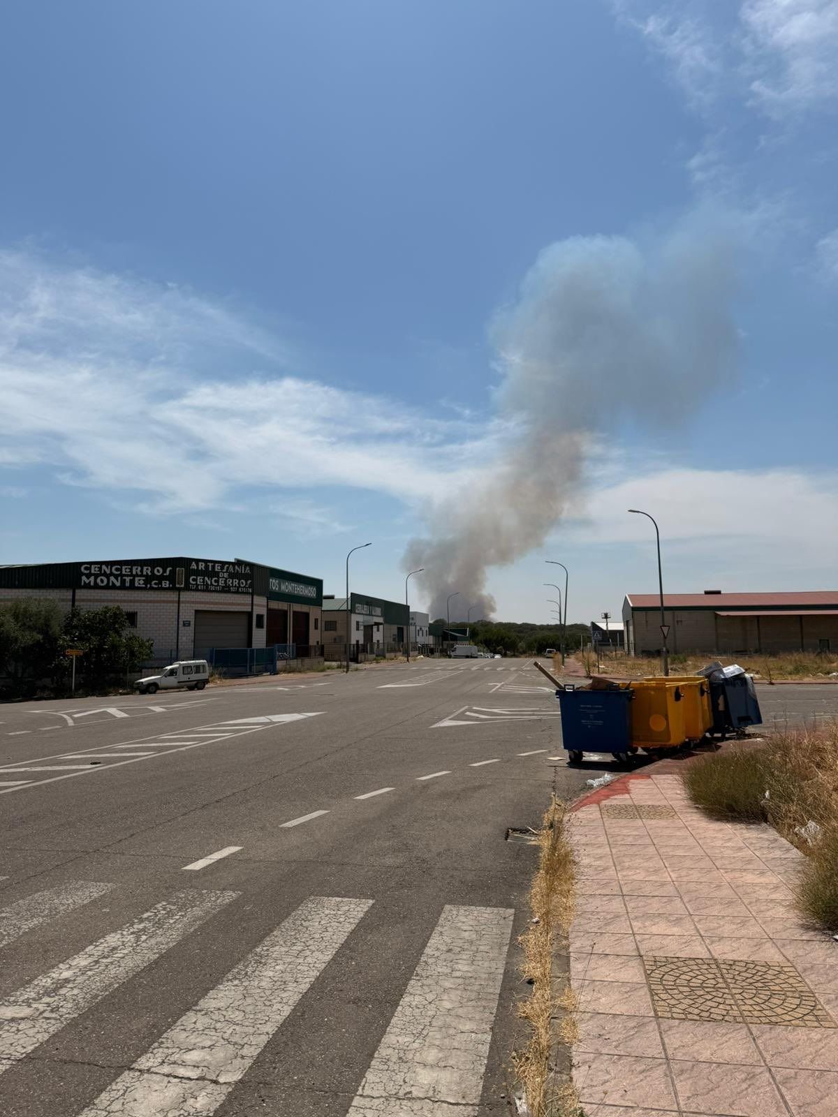Columna de humo generada por el incendio