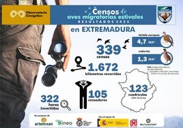 Censo de aves migratorias estivales del Observatorio Cinegético.