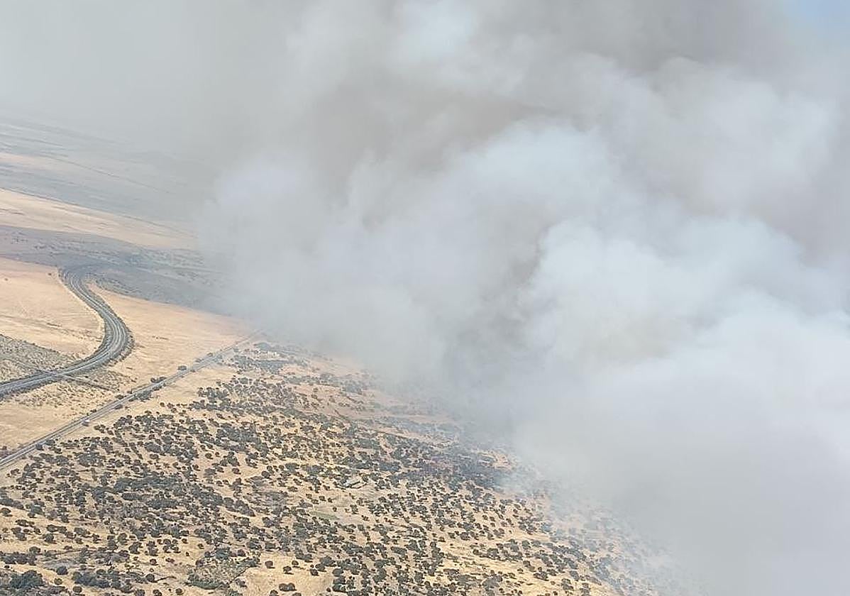 ¿Qué ha pasado este viernes 8 de agosto en Extremadura?
