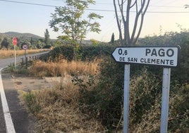 Entrada de Pago de San Clemente.