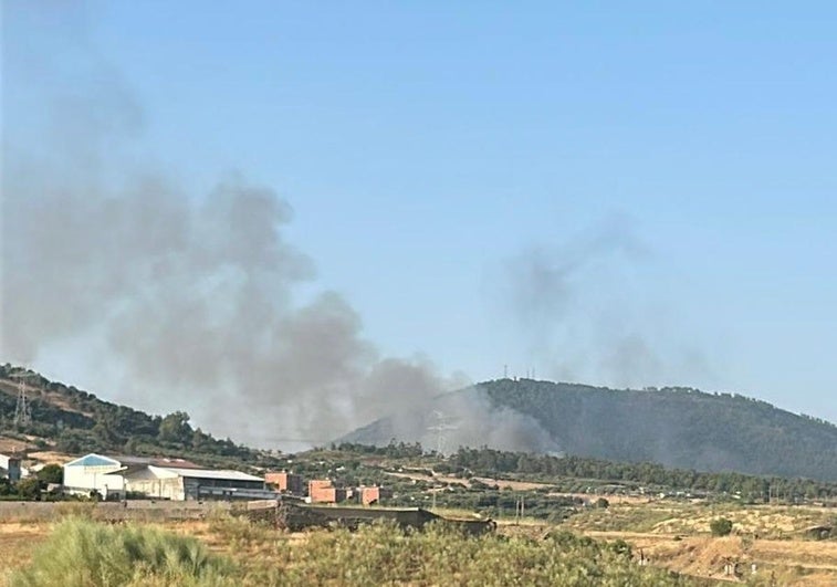 Arde un coche en la A-66 y origina un incendio forestal a la altura de Cañaveral