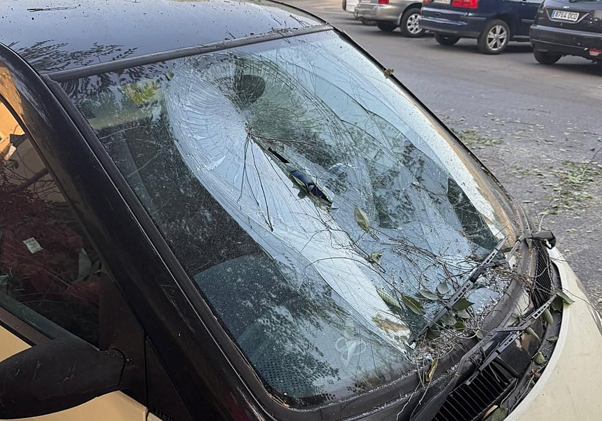 Daños sufridos por el coche aplastado en Badajoz este lunes.